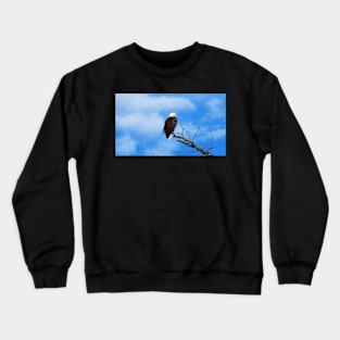 A Bald Eagle Perching In a Tree Crewneck Sweatshirt